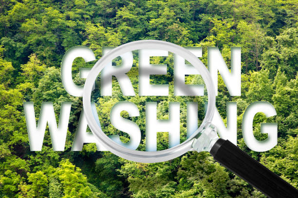 Alert to Greenwashing - concept with text against a forest and trees and magnifying glass stock photo