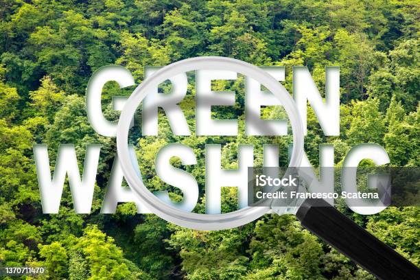 Alert To Greenwashing Concept With Text Against A Forest And Trees And Magnifying Glass Stock Photo - Download Image Now