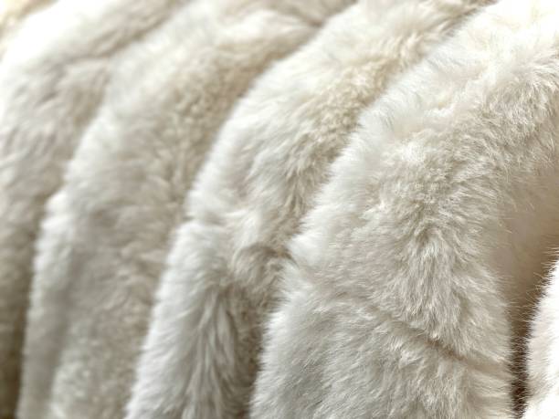 closeup white artificial or faux fur coats hanged in a row in the store stock photo
