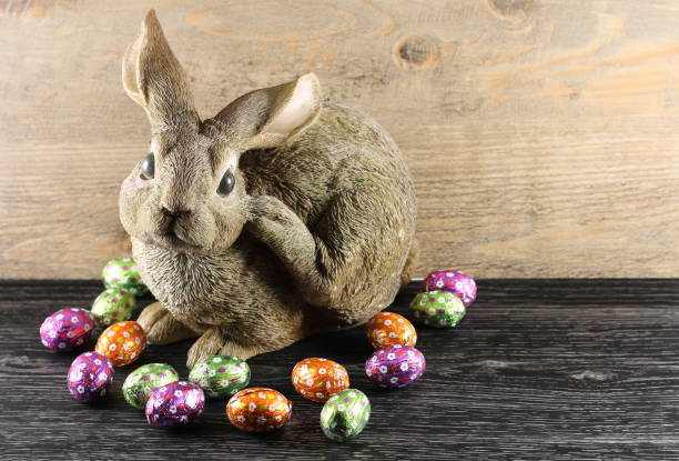 a rabbit surrounded by easter eggs stock photo