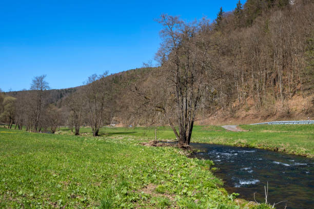 istock Spring in the Wiesent valley 1370717268