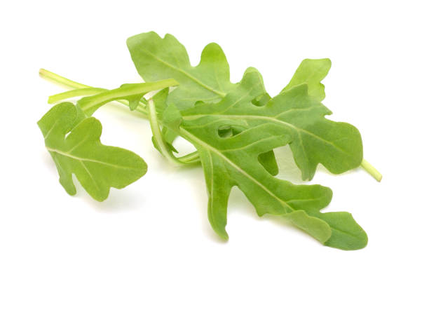 istock fresh arugula leaves isolated on white 1370721880