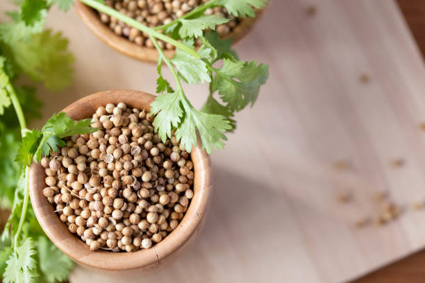 istock Coriander seeds in a wooden cup copy space 1370723194
