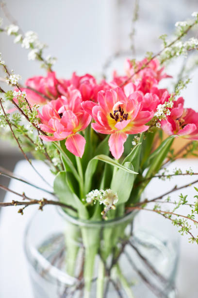 tulips in a glass vase on color background