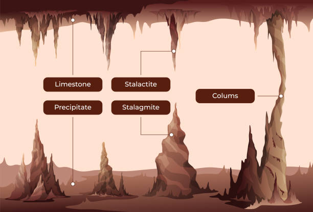 stalaktyty i stalagmity infografika krajobraz wektor płaska ilustracja edukacyjny schemat plakatu - stalagmite stock illustrations