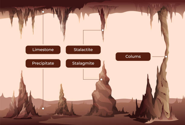 Stalactites and stalagmites infographic landscape vector flat illustration educational poster scheme Stalactites and stalagmites infographic landscape vector flat illustration. Natural dangerous melting rock underground prehistoric formation with names educational poster. Geology chart scheme stalagmite stock illustrations