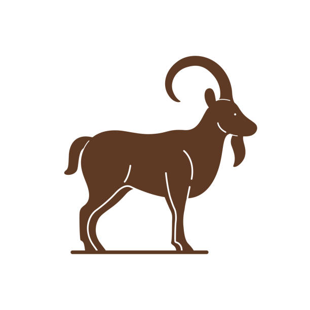 animal llustration of ibex. Simple contour vector illustration for emblem, badge, insignia. ibex stock illustrations