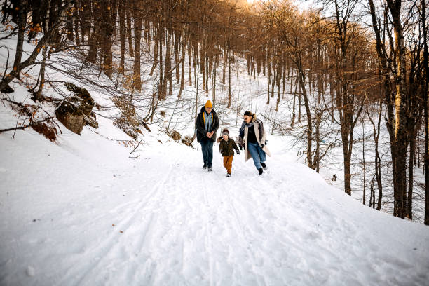 istock Sledding fight with my family 1370725743