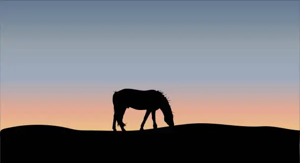 Vector illustration of Herd of horses grazing on meadow in sunset vector illustration