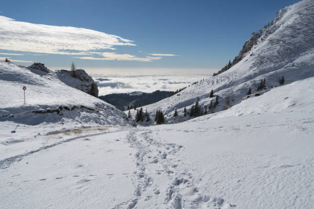 istock Summer road, Bucegi Mountains, Romania 1370726944