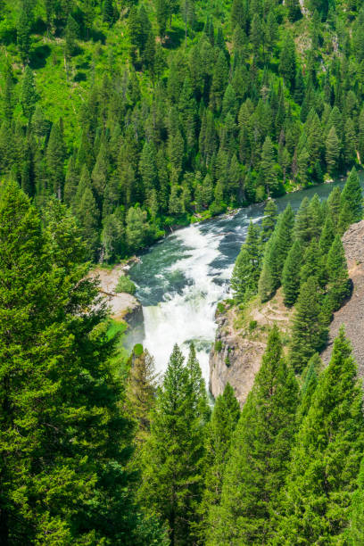 Mesa Falls, Island Park, Idaho Summer day view of Mesa Falls, Island Park, Idaho ashton idaho stock pictures, royalty-free photos & images