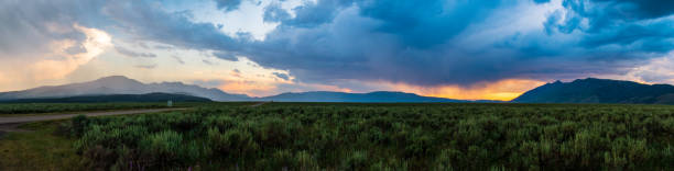 coucher de soleil panoramique sur la forêt nationale de caribou-targhee - wyoming landscape american culture plain photos et images de collection