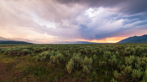 sonnenuntergang über dem caribou-targhee national forest - montana summer usa color image stock-fotos und bilder