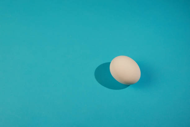 istock White egg on the blue background in center. 1370728577