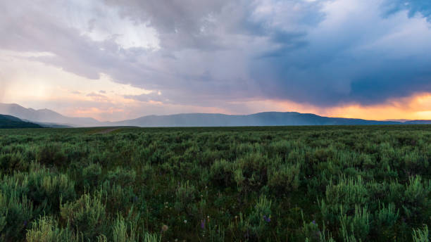 istock Rain Squall At Sunset in Idaho 1370728582