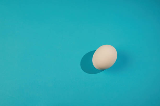 istock White egg on the blue background in center. 1370728583