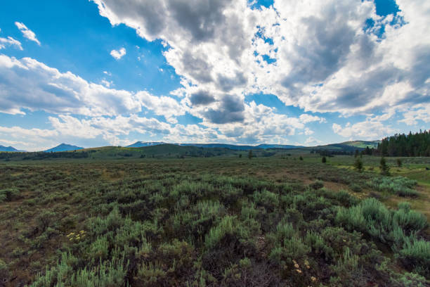 istock Yellowstone National Park Landscape with Mountains 1370728789