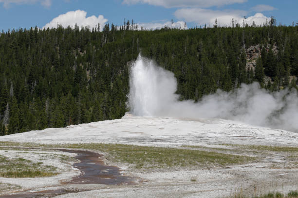 istock Yellowstone National Park. 1370729592