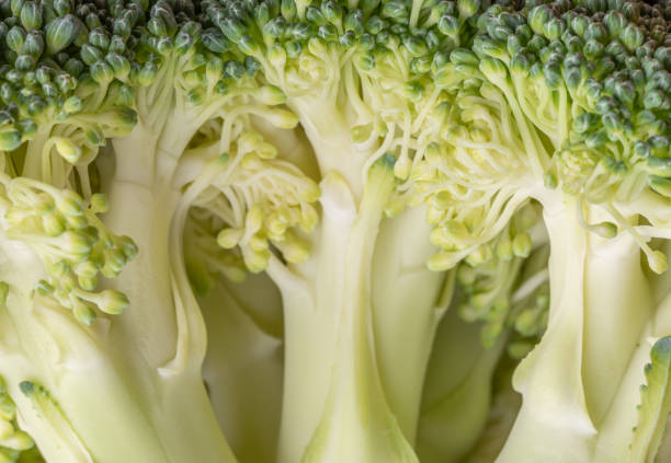 istock Green and fresh broccoli vegetable stem macro shot . 1370731545