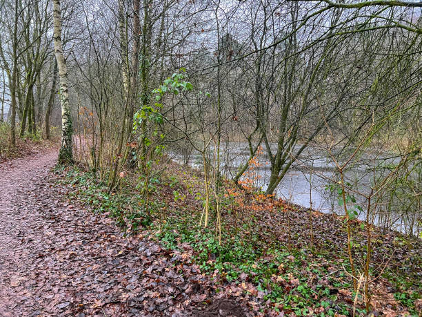istock A path through a forest next to a lake in the town called 