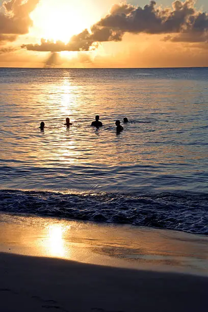 Group of people swimming in Caribbean sea (Barbados) at sunset