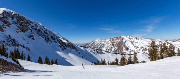 istock Alpine skiing at Alta Resort, Utah 1370737312