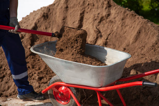 istock Creating a flower bed by a co-owner. 1370738983