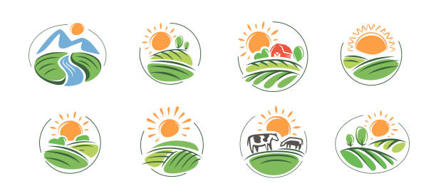 ilustrações, clipart, desenhos animados e ícones de agricultura, logotipo da agricultura definido. campos agrícolas e sol, coleta de emblemas para produtos orgânicos - produtor rural