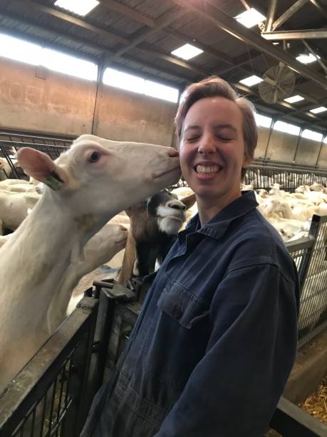 istock Girl with goats 1370739281