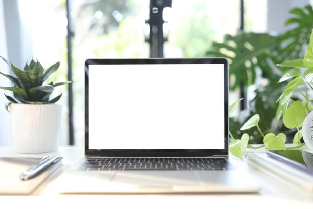 istock Laptop and indoor plants work from home set up 1370741211
