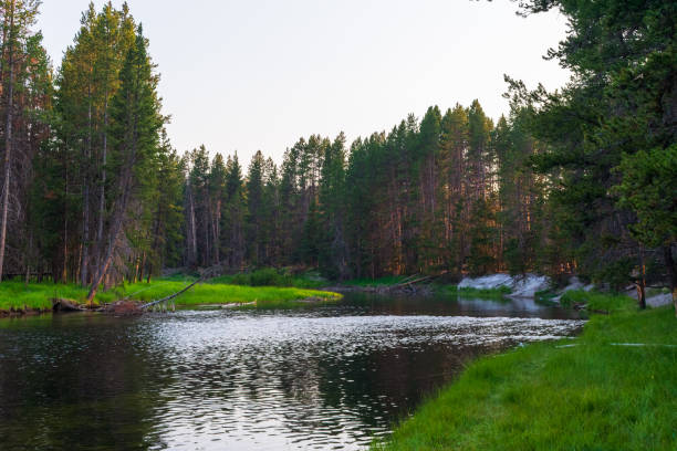 istock Yellowstone River flowing through Hayden Valley 1370742125