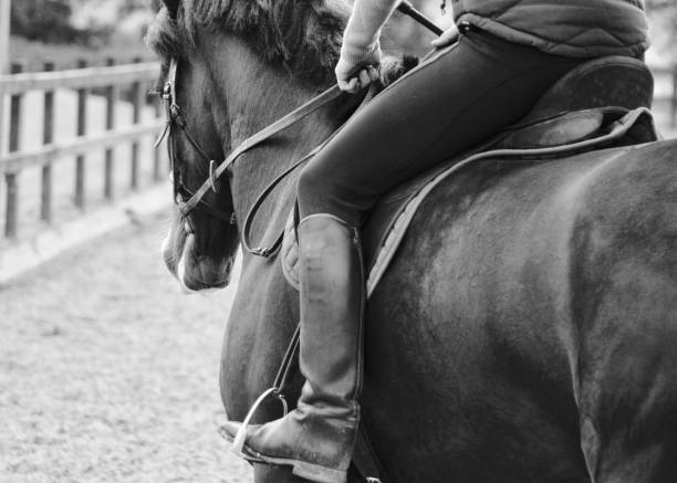 istock horseback riding in arena 1370742307