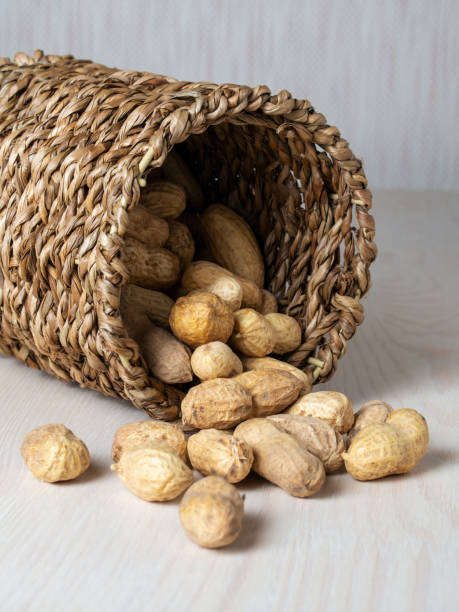 istock Shelled peanuts in a small wicker basket on a white background. Peanuts full from a wicker basket. Peanuts spill out of a wicker basket. 1370743694