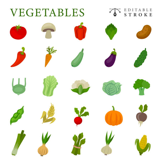 ilustrações, clipart, desenhos animados e ícones de conjunto de ícones de design plano de legumes - turnip