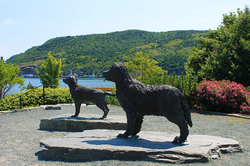 Statue of a Newfoundland Dog and a Labrador Retriever, Harbour Side Park, St. John's, Newfoundland.