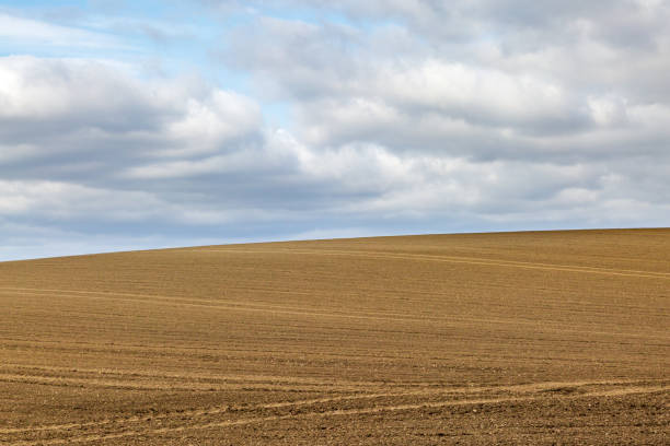 istock Ploughed fields in Sussex on a spring day 1370749673