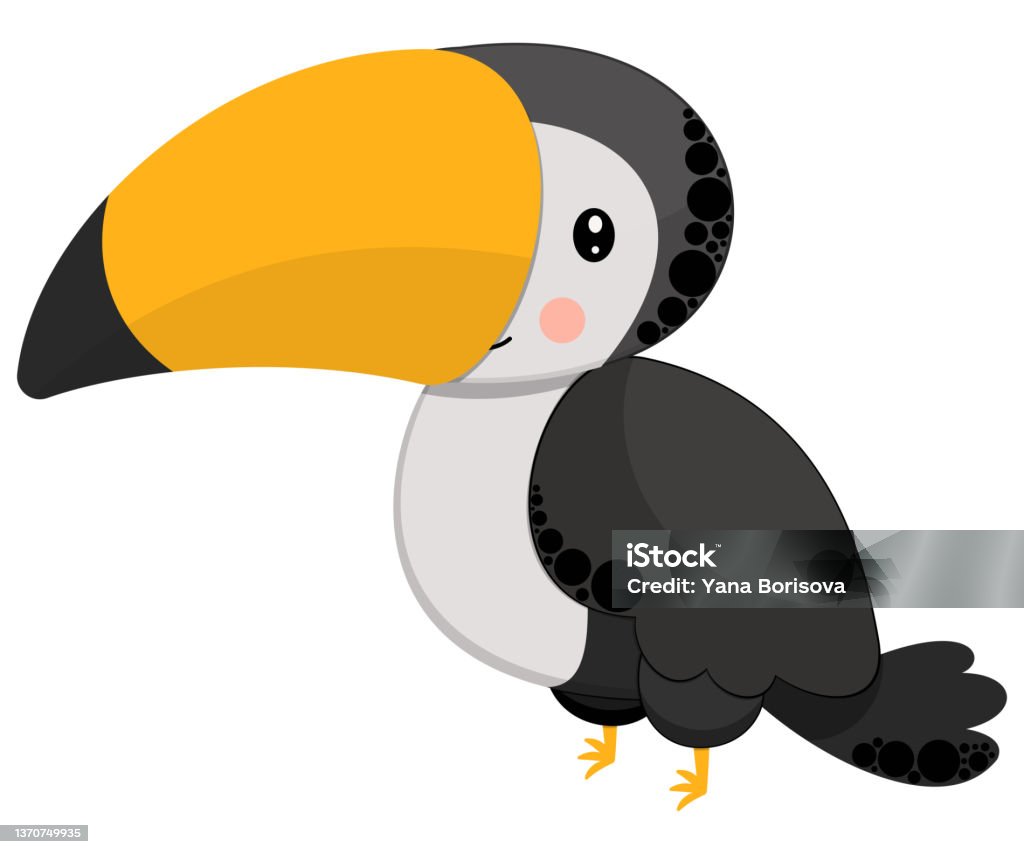 Childrens Illustration Cartoon Cute Character Rainbow Toucan With Big Yellow  Beak Smile And Ruddy Cheeks Isolated On White Background Exotic Tropical  Bird Vector Stock Illustration - Download Image Now - iStock