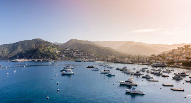 восход солнца над гаванью авалон, остров каталина, калифорния - catalina island стоковые фото и изображения