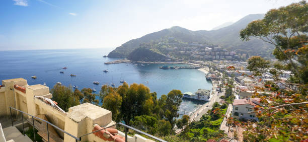 istock Overlooking Avalon Harbor, Catalina Island, California 1370750537