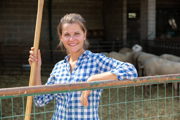 istock Successful woman farmer in enclosure with sheeps 1370754366