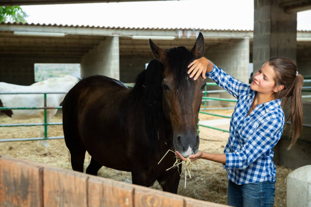istock Young woman caring for horses 1370754407