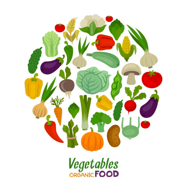 illustrazioni stock, clip art, cartoni animati e icone di tendenza di composizione rotonda di verdure. verdure fresche. bioalimento. - vegetable garden illustrations