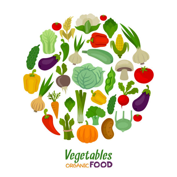 ilustrações de stock, clip art, desenhos animados e ícones de vegetables round composition. fresh vegetables. organic food. - legumes