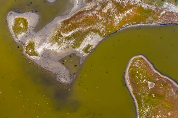 istock Salt marsh and coastline - aerial view 1370758280