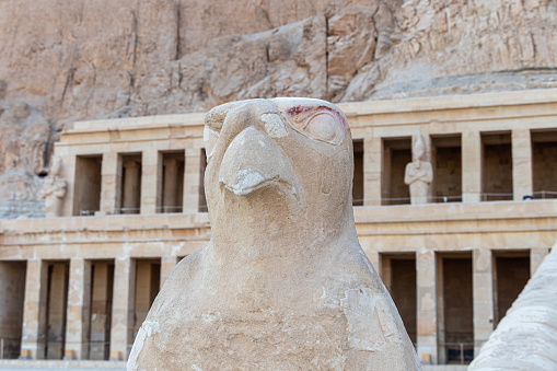 The statue of the falcon. The Mortuary Temple of Hatshepsut, is located on the west bank of the Nile River near the Valley of the Kings and the city of Luxor, Egypt