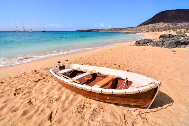 istock Landscape in Tropical Volcanic Canary Islands Spain 1370759149