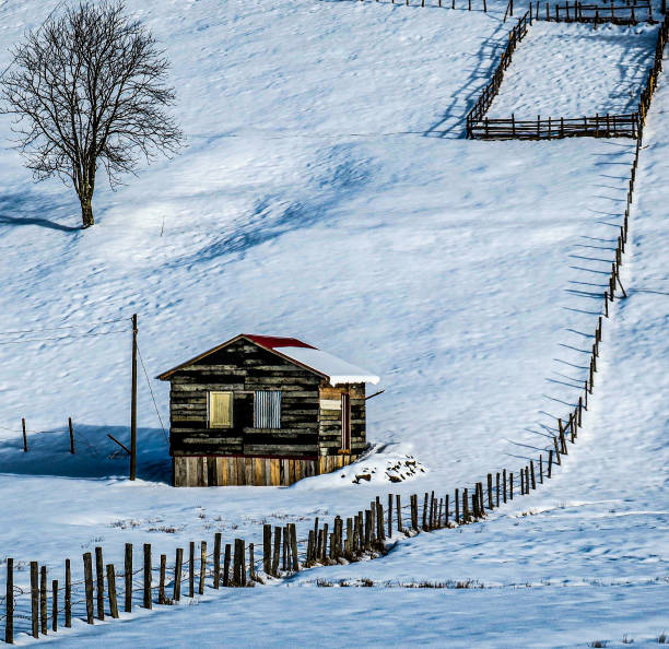 The old house in my village
