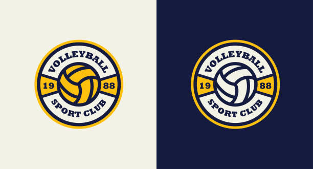 illustrazioni stock, clip art, cartoni animati e icone di tendenza di volleyball team sport colorato logo vintage. emblema blu e giallo. logo a sfera retrò su sfondo blu chiaro e scuro - volleying