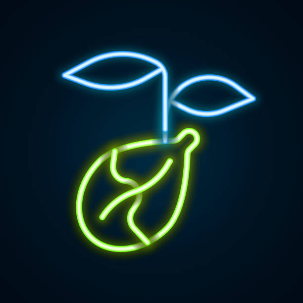 istock Glowing neon line Sprout icon isolated on black background. Seed and seedling. Leaves sign. Leaf nature. Colorful outline concept. Vector 1370765620