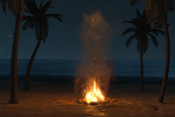 3d rendering of bright onfire with sparks and particles in front of starry sky and palm trees at sand beach 3d rendering of bright onfire with sparks and particles in front of starry sky and palm trees at sand beach Bonfire stock pictures, royalty-free photos & images